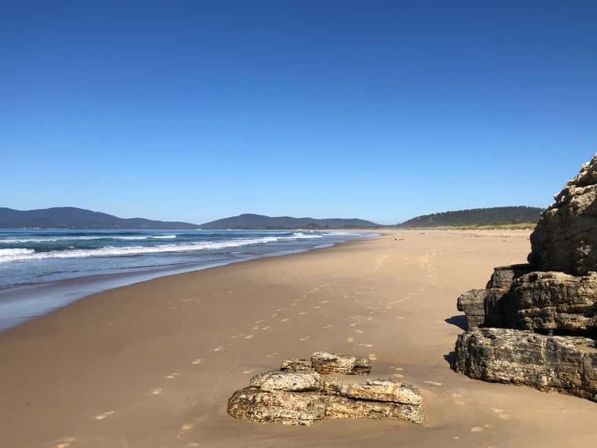 image n.10 of From Hobart: Bruny Island Adventure - Active Day Tour activity in Tasmania, uploaded by supplier