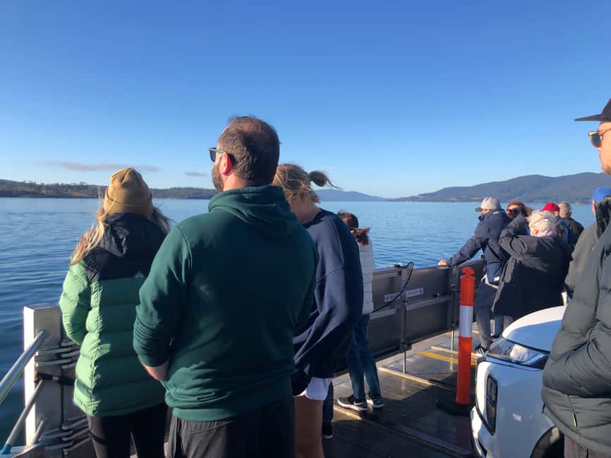 image n.3 of From Hobart: Bruny Island Adventure - Active Day Tour activity in Tasmania, uploaded by supplier
