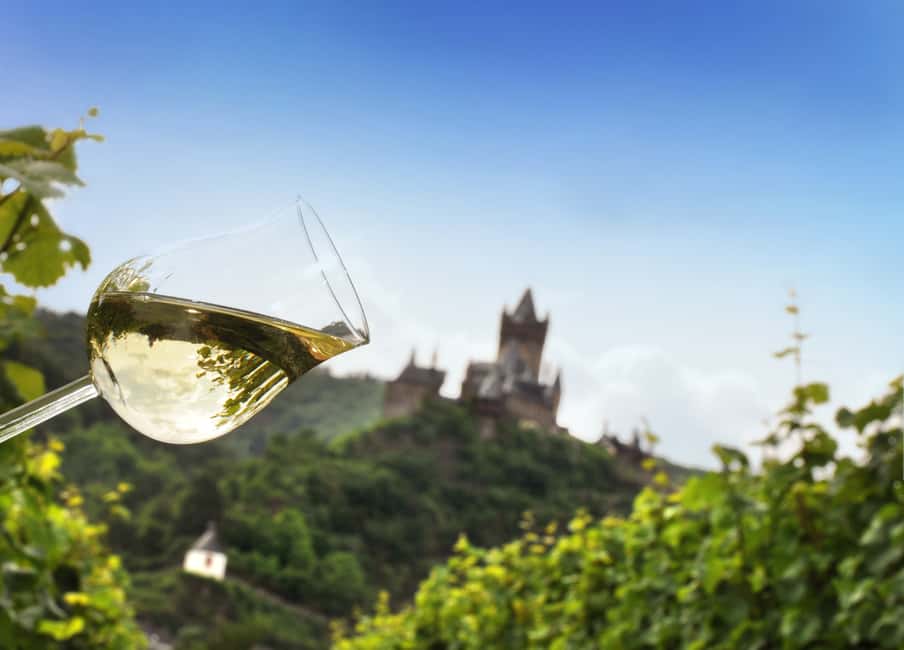 image n.5 of Cochem, Mosel: Mit dem Kanu zum Winzer activity in Rhineland-Palatinate, uploaded by supplier