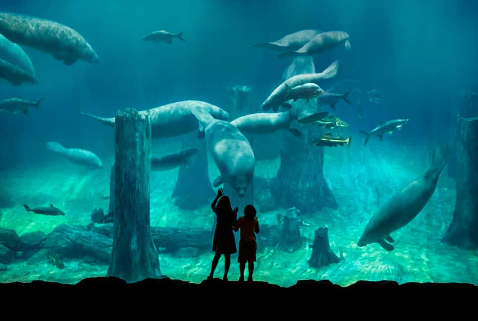 River Safari Singapore Admission