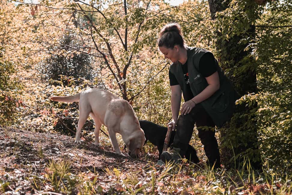 image n.3 of Paladini: Truffle Hunting Tour with 3-Course Tasting Menu activity in Paladini, uploaded by supplier