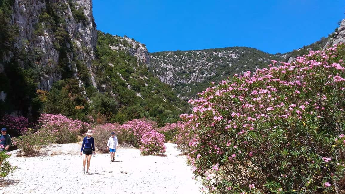 Immagine nº 2 di Da Orosei/Dorgali: escursione a Cala Luna - Escursione guidata di un giorno attività a Sardegna, caricata dal fornitore