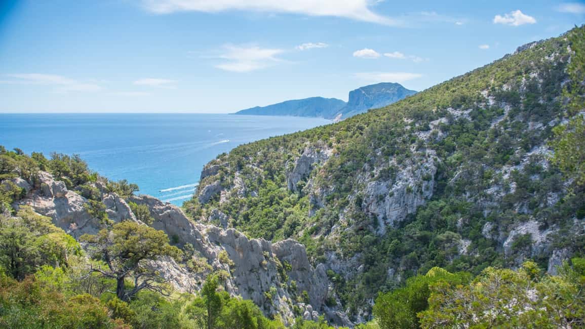 Immagine nº 3 di Da Orosei/Dorgali: escursione a Cala Luna - Escursione guidata di un giorno attività a Sardegna, caricata dal fornitore