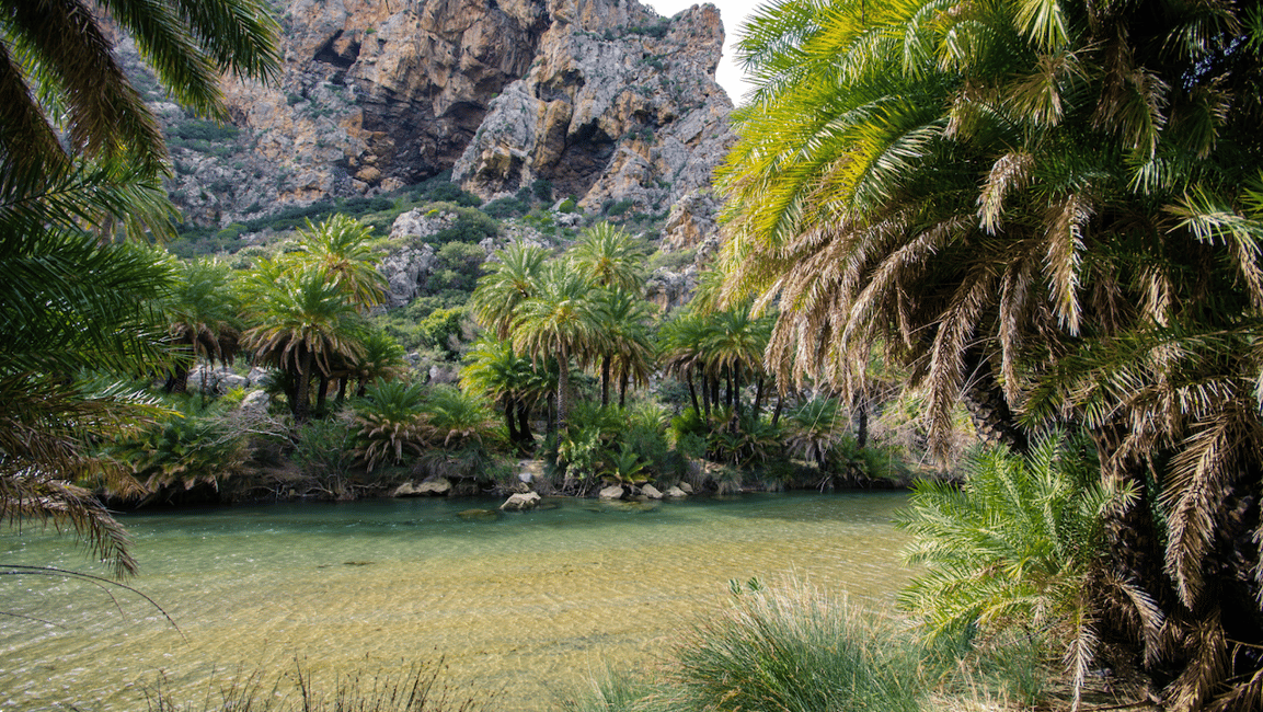 image n.10 of Heraklion: Preveli Palm Beach Boat Trip & Rethymno Town Tour activity in Crete, uploaded by supplier