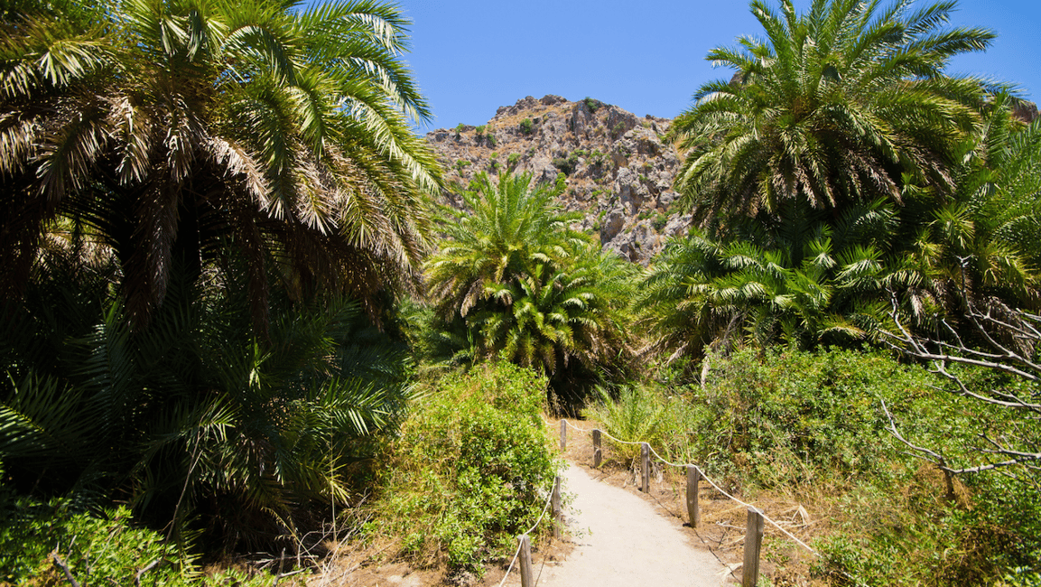 image n.11 of Heraklion: Preveli Palm Beach Boat Trip & Rethymno Town Tour activity in Crete, uploaded by supplier