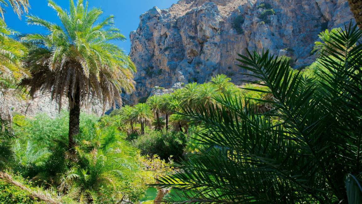 image n.13 of Heraklion: Preveli Palm Beach Boat Trip & Rethymno Town Tour activity in Crete, uploaded by supplier