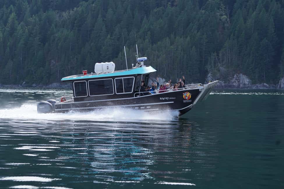 image n.7 of Campbell River: Salish Sea Whale Watching Adventure activity in Campbell River, uploaded by supplier