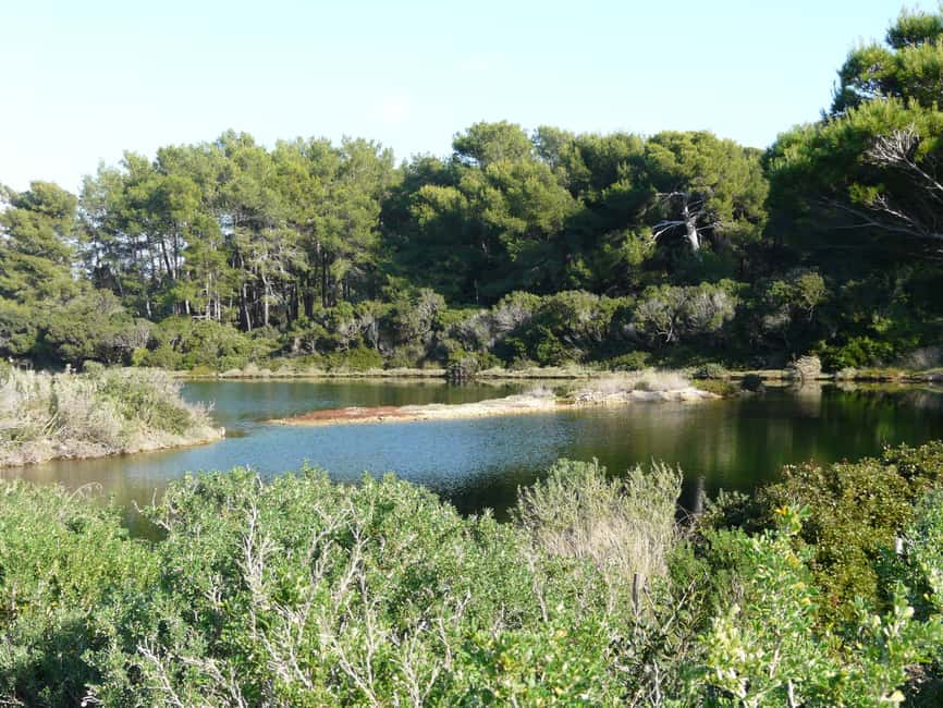 Cannes içindeki Cannes'dan: Sainte-Marguerite Adası Feribot Biletleri etkinliğinin tedarikçi tarafından yüklenen 6 no'lu görseli