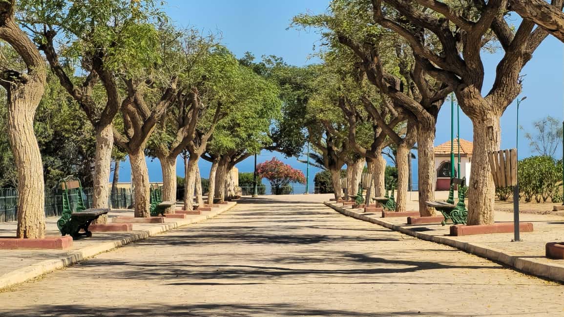 image n.7 of Oran: The absolute everything of El Bahia with a local activity in Oran, uploaded by supplier