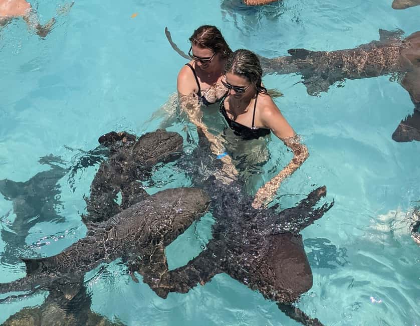 Image N°3 de De Nassau: excursion en bateau à moteur Exuma et Pig Beach avec déjeuner activité à Nassau, Bahamas, publiée par le prestataire
