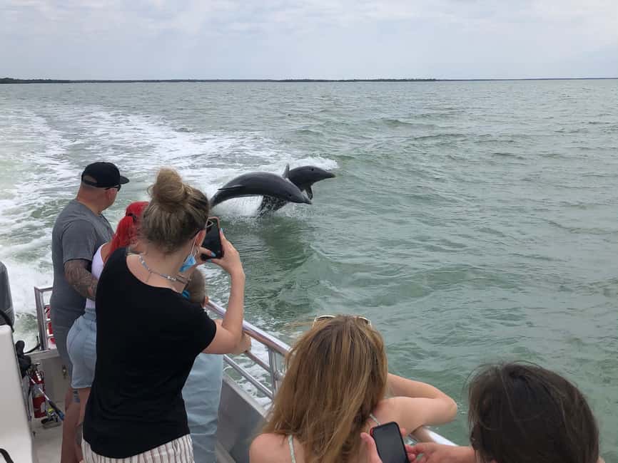 image n.6 of Marco Island: Ten Thousand Islands Shelling & Dolphin Tour activity in Florida, uploaded by supplier