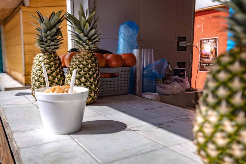 Image N°13 de Nassau : Tour de l'île avec dégustation de rhum activité à Nassau, Bahamas, publiée par le prestataire