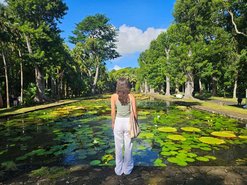 bild nr.13 av Port Louis: Mont Choisy, botaniska trädgården och kyrkturné aktivitet i Pamplemousses, uppladdad av arrangören