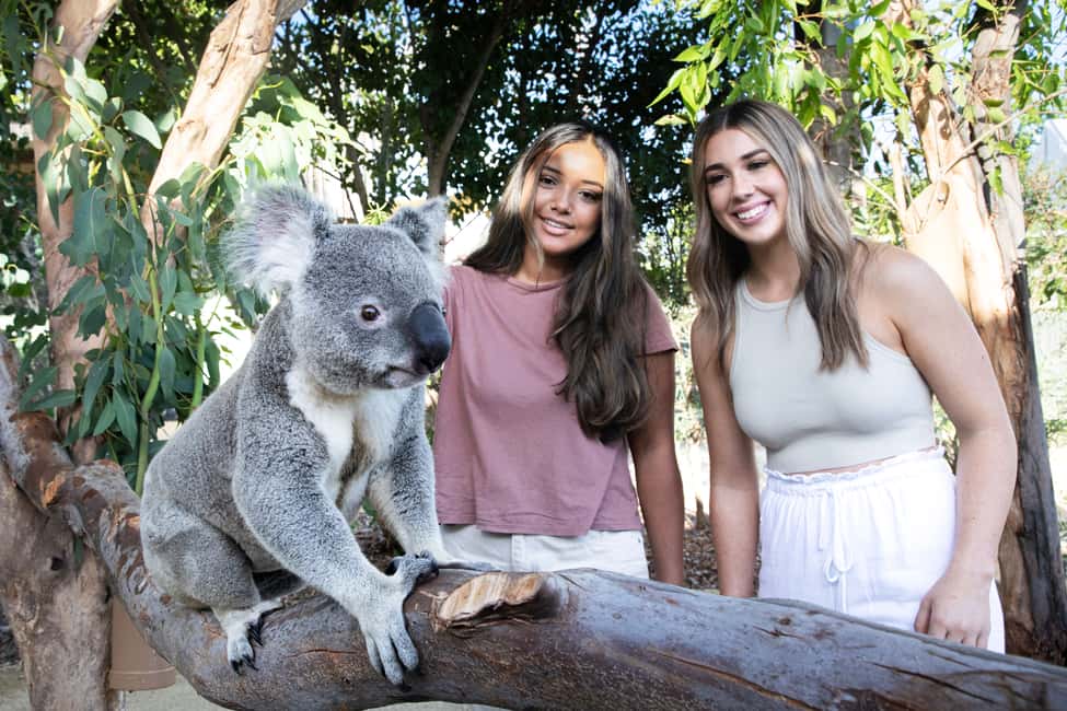 bild nr.4 av Från Sydney: Blue Mountains, Scenic World, Zoo och färjetur aktivitet i Sydney, uppladdad av arrangören