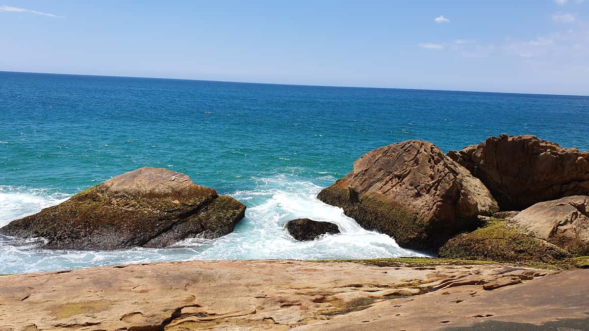 image n.4 of Day Tour to Trindade: Nature and Sea Adventure from Paraty activity in Paraty, uploaded by supplier
