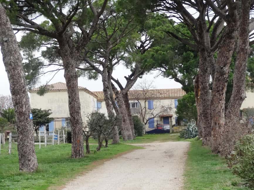 imagem n.3 de Montpellier: Tour personalizado de um dia pelo sul da França atividade em Nimes, carregada pelo fornecedor