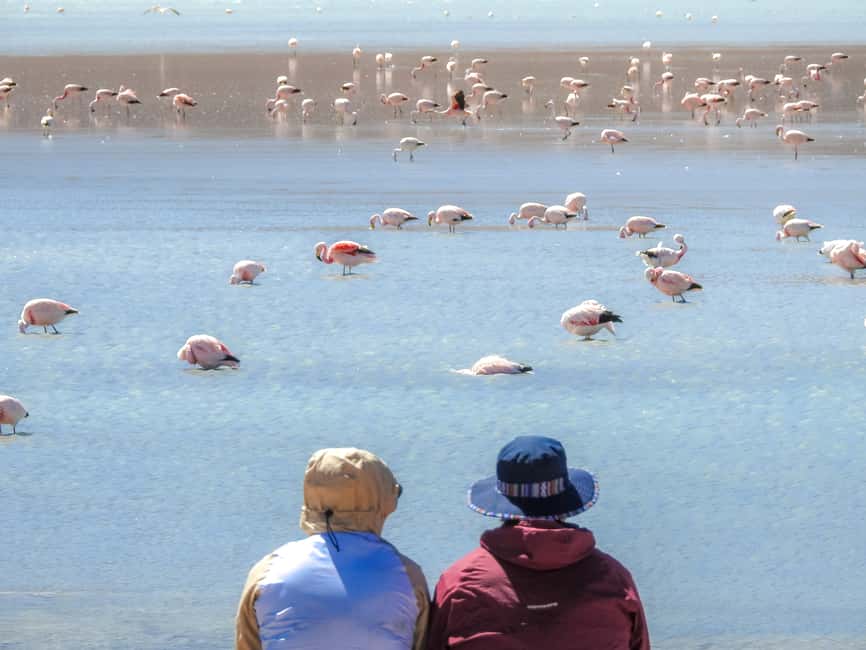 image n.15 of From Uyuni: Red Lagoon & Uyuni Salt Flats 3-Day Guided Tour activity in Sur Lipez Province, uploaded by supplier