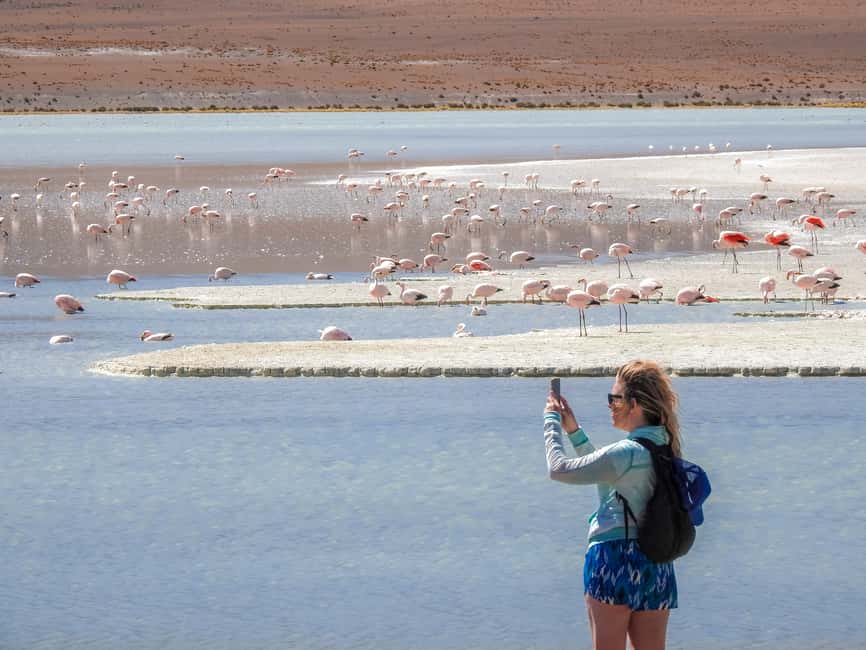 image n.1 of From Uyuni: Red Lagoon & Uyuni Salt Flats 3-Day Guided Tour activity in Sur Lipez Province, uploaded by supplier