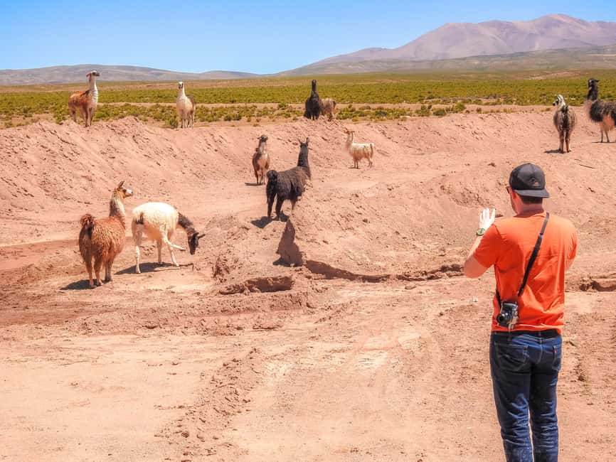 image n.19 of From Uyuni: Red Lagoon & Uyuni Salt Flats 3-Day Guided Tour activity in Sur Lipez Province, uploaded by supplier