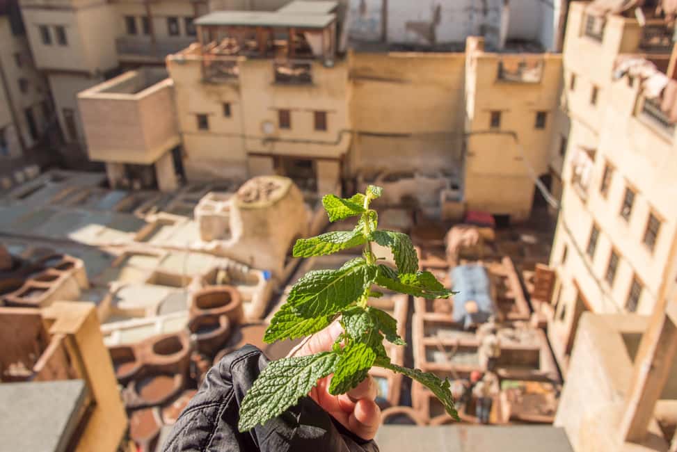 billede nr.11 af aktiviteten Fes: Attarine Madrasa, museum, garveri, souk og medina-tur i Fez, uploadet af udbyder