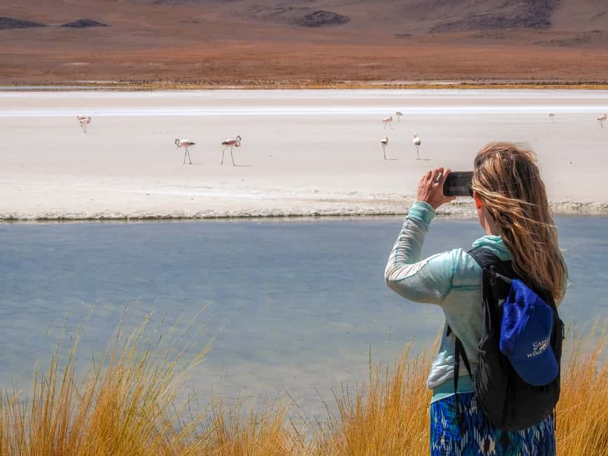 image n.14 of La Paz: Uyuni Salt Flats & San Pedro de Atacama 3-Day Tour activity in Sur Lipez Province, uploaded by supplier
