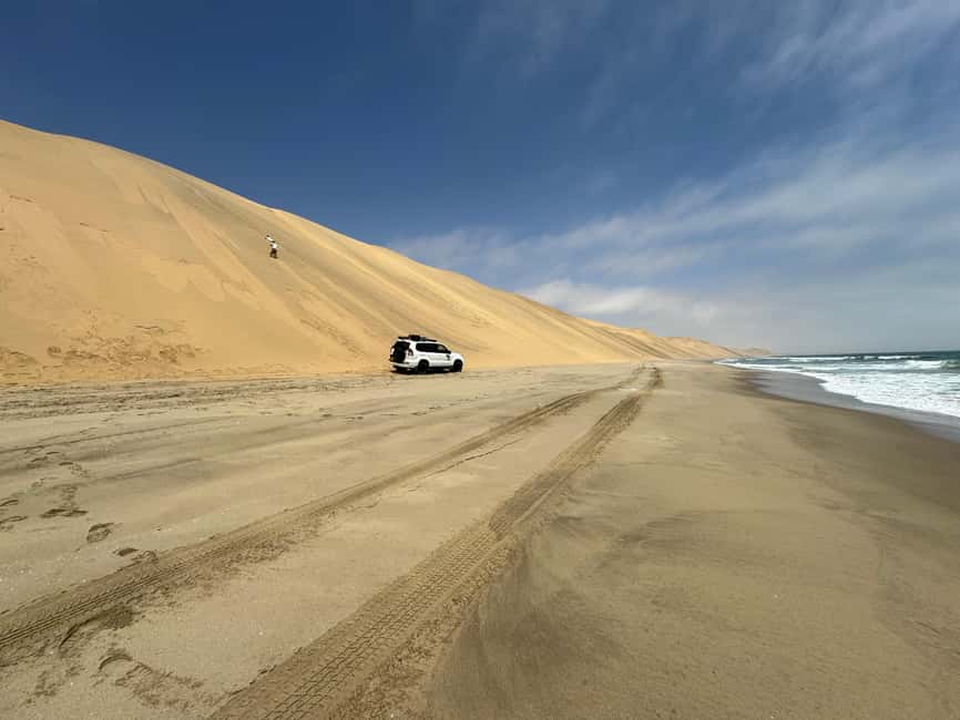 image n.75 of Walvisbay: Sandwich Harbour 4x4 Tour-Unparalleled Experience activity in Erongo, uploaded by supplier
