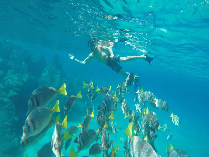 image n.2 of From Cabo San Lucas: Lovers Beach and El Arco Boat Trip activity in Cabo San Lucas, uploaded by supplier