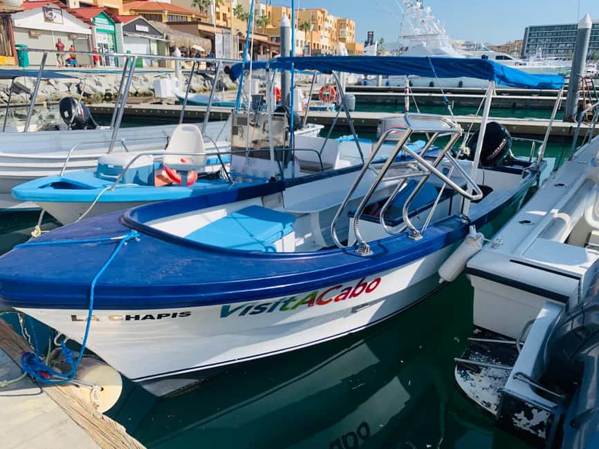 image n.3 of From Cabo San Lucas: Lovers Beach and El Arco Boat Trip activity in Cabo San Lucas, uploaded by supplier