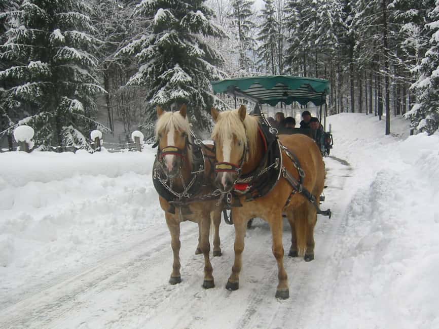image n.5 of From Salzburg: Romantic Sleigh Ride through the Countryside activity in Upper Austria, uploaded by supplier