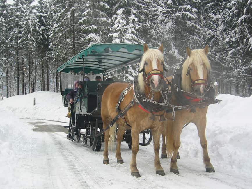 image n.6 of From Salzburg: Romantic Sleigh Ride through the Countryside activity in Upper Austria, uploaded by supplier