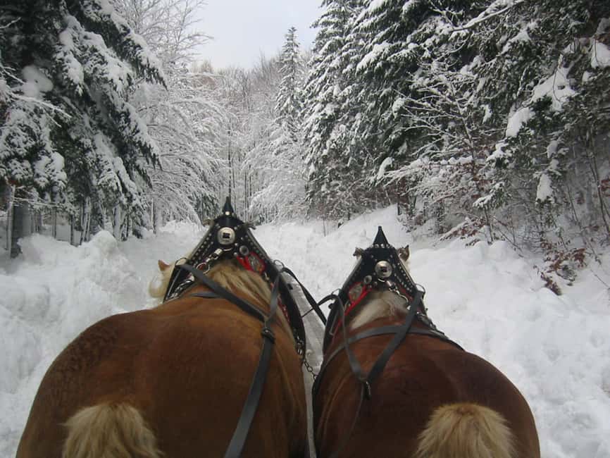 image n.7 of From Salzburg: Romantic Sleigh Ride through the Countryside activity in Upper Austria, uploaded by supplier
