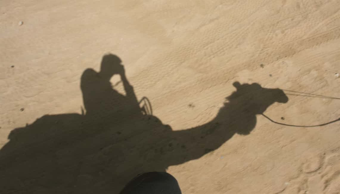 image n.8 of Agadir: Camel Ride With Tea & BBQ Dinner Option activity in Agadir, uploaded by supplier