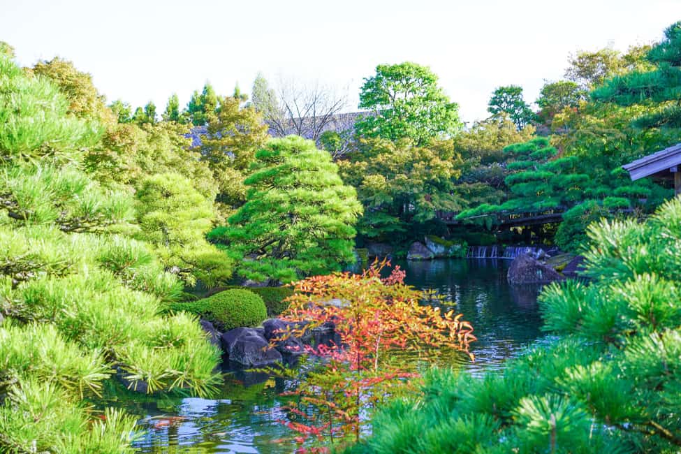 afbeelding n.14 van Halve dag Himeji kasteel stad fietstour met lunch activiteit in Himeji, geüpload door aanbieder