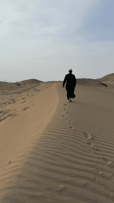 Immagine nº 6 di Tramonto nel deserto con pick up attività a Mascate, caricata dal fornitore