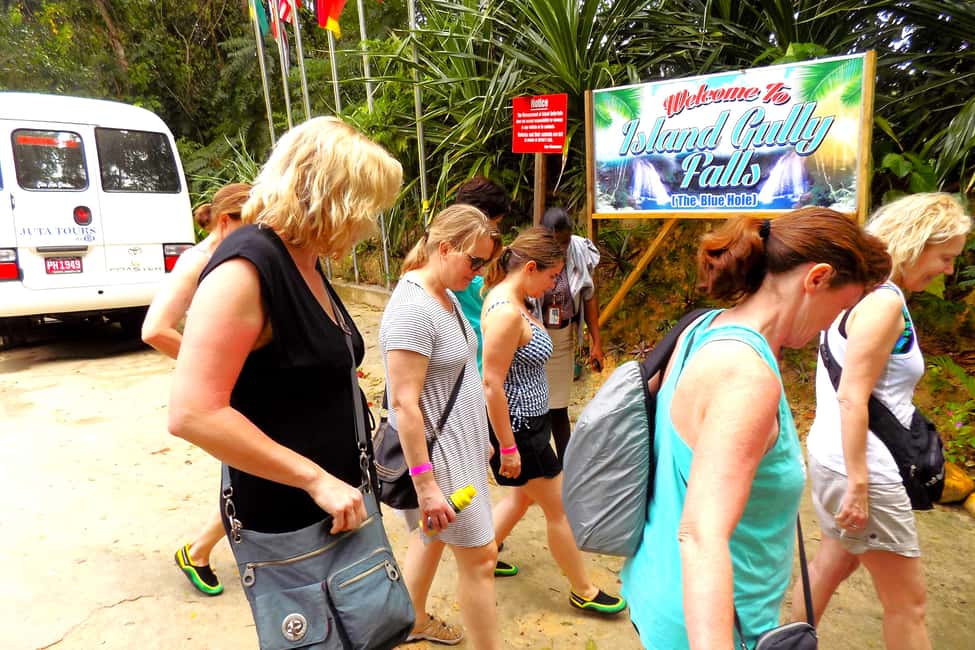 imagem n.3 de De Kingston: experiência de natação Blue Hole em Ocho Rios atividade em Kingston, Jamaica, carregada pelo fornecedor