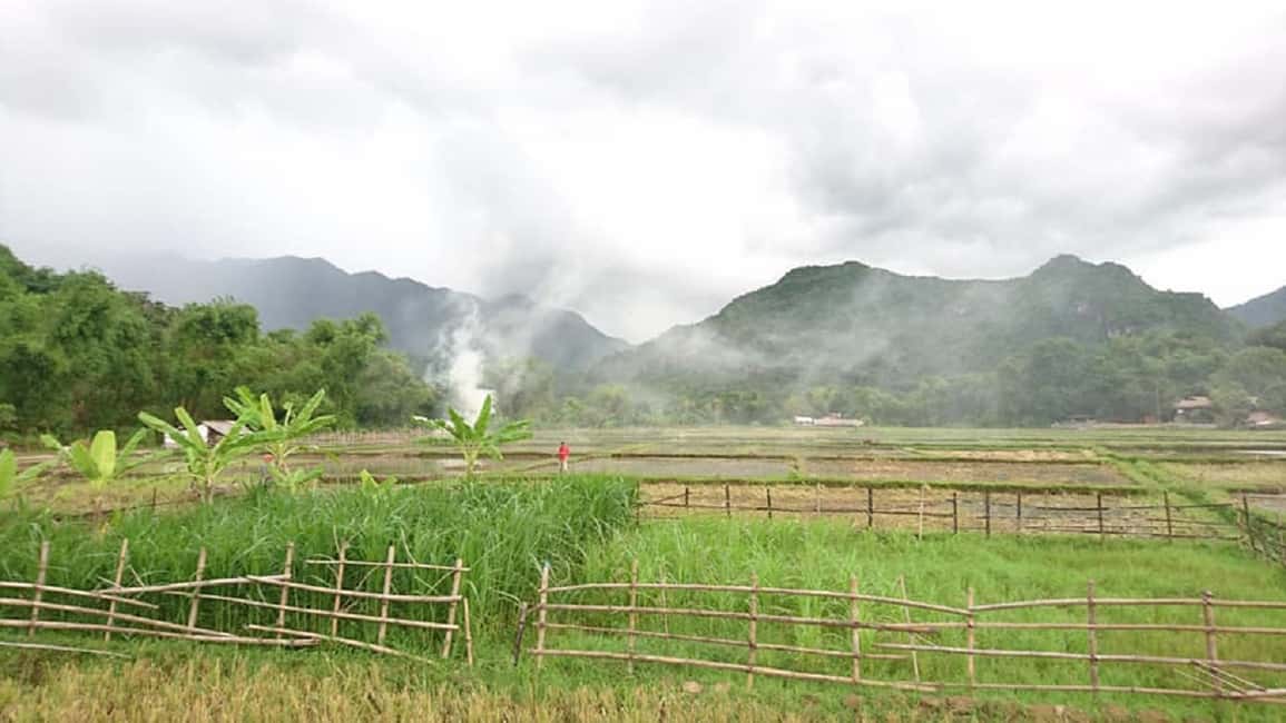 image n.6 of Ninh Binh: 2-Day Excursion with Guide and Activities activity in Ha Long, uploaded by supplier