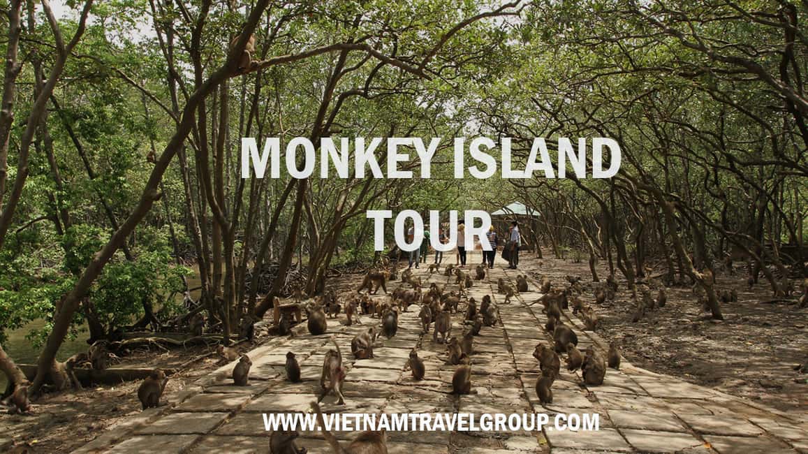 Immagine nº 1 di Da Ho Chi Minh City: Tour guidato della foresta di mangrovie di Can Gio attività a Vietnam meridionale, caricata dal fornitore