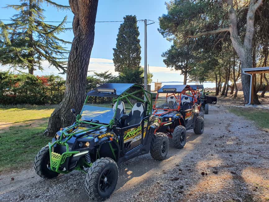 Bild Nr. 7 von Pula&Fažana: Geführte Istra-Buggy-Tour im Herzen Istriens Aktivität in Gespanschaft Istrien, hochgeladen vom Anbieter