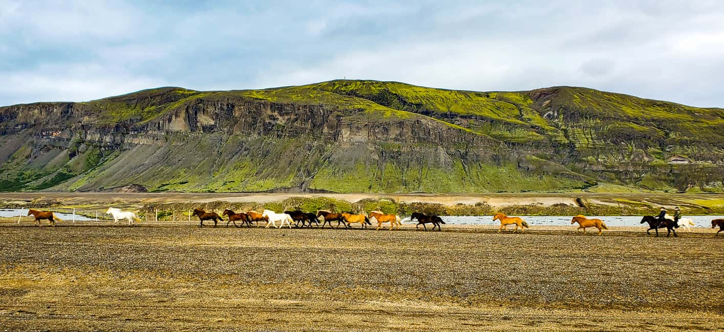 imagen n.º 12 de Desde Reikiavik: excursión de un día a Landmannalaugar en un 4x4. actividad en Suðurland, subida por el proveedor