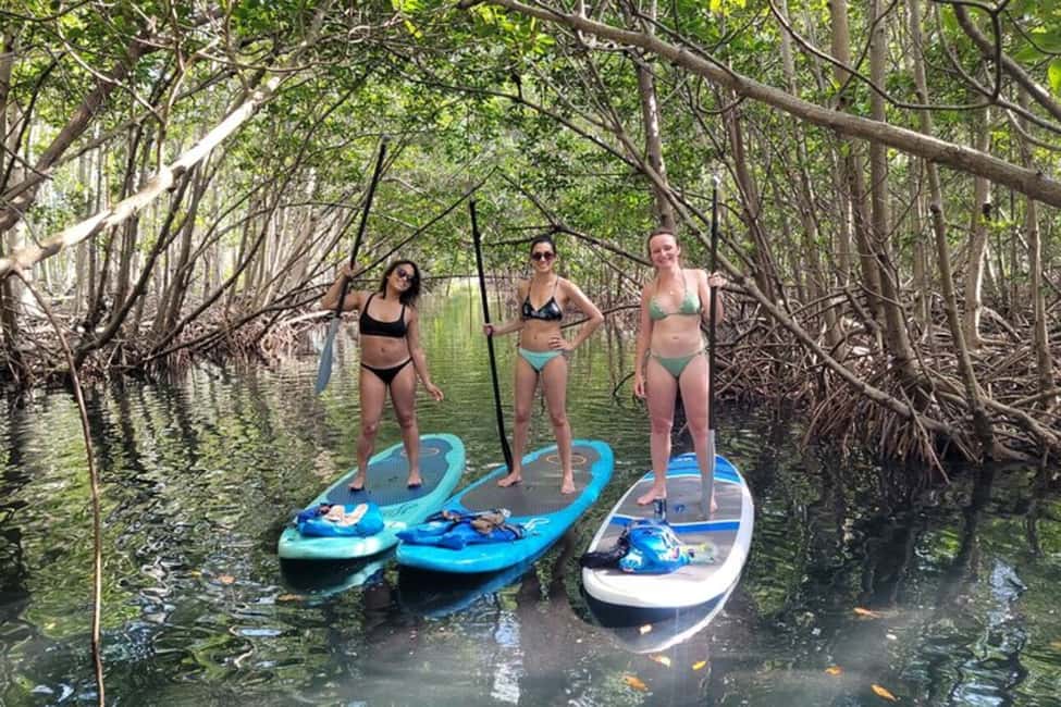 image n.7 of North Miami: Nature & Island Exploration on SUP/Kayak activity in Miami, uploaded by supplier