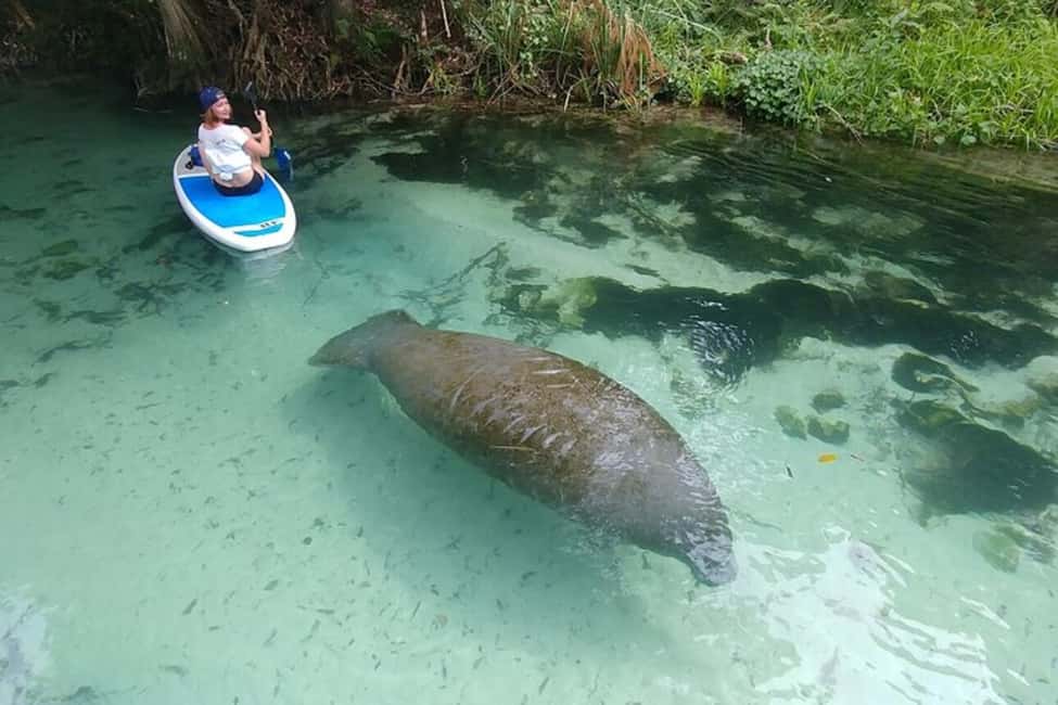 image n.5 of North Miami: Nature & Island Exploration on SUP/Kayak activity in Miami, uploaded by supplier