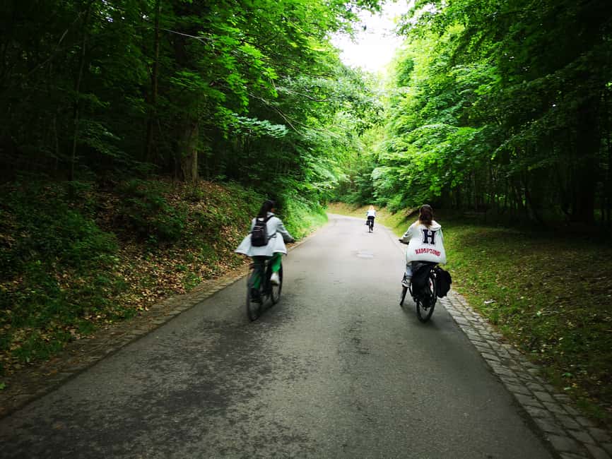 bild nr.11 av Paris: Versailles E-Bike-tur till slottet Versailles och Queen Hamlet aktivitet i Paris, uppladdad av arrangören