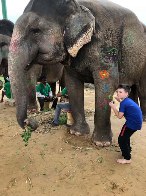 image n.4 of Jaipur: Elephant Interaction Tour activity in Jaipur, uploaded by supplier