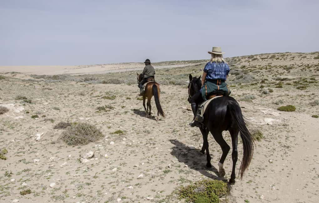 image n.5 of From Essaouira: 2h Horseback Ride with Sunset activity in Essaouira, uploaded by supplier