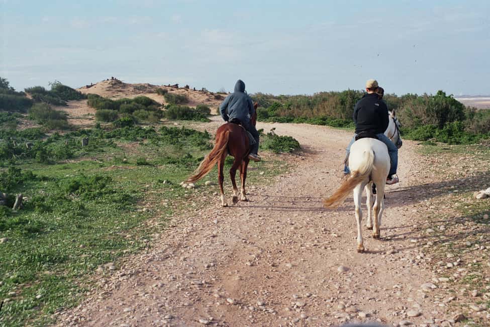 image n.6 of From Essaouira: 2h Horseback Ride with Sunset activity in Essaouira, uploaded by supplier