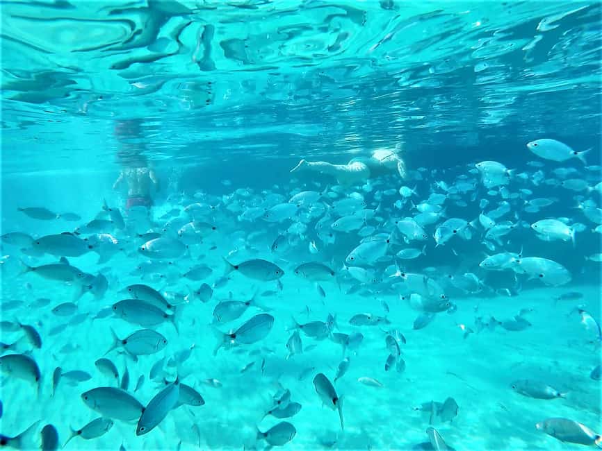 image n.18 of Ibiza: Sea Caves & Coves Snorkeling Paddle Boarding Tour activity in Sant Josep de sa Talaia, uploaded by supplier