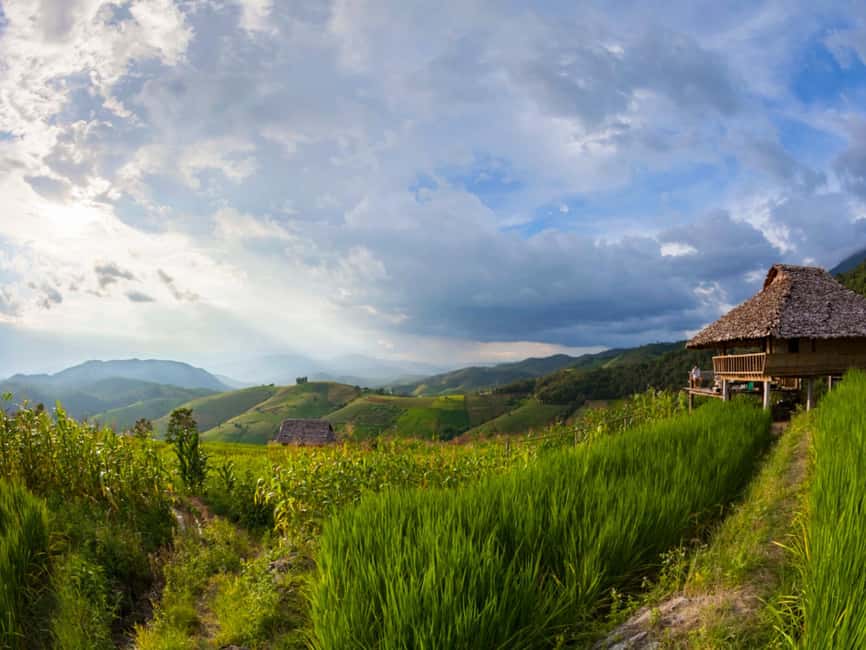 image n.14 of Chiang Mai: Doi Inthanon Park and Pha Dok Siew Trail Trek activity in Chiang Mai, uploaded by supplier