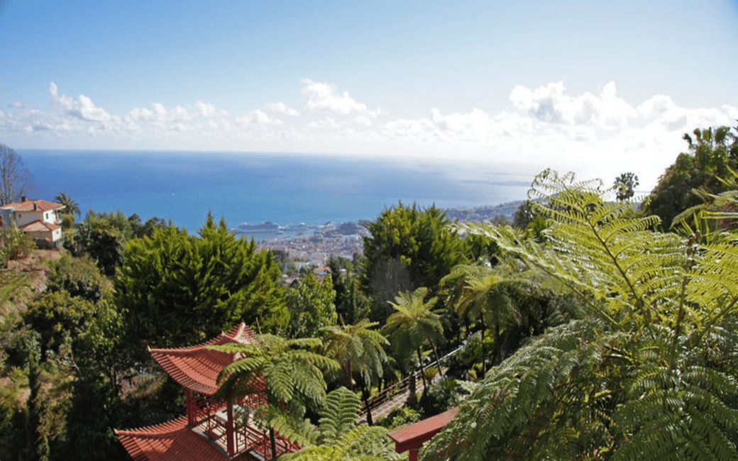 afbeelding n.3 van Funchal: Monte Palace Tropische Tuinen Tuk Tuk Tour activiteit in Funchal, geüpload door aanbieder