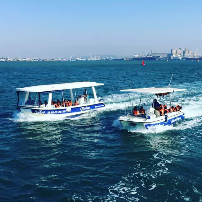 image n.15 of Durban: 1-Hour Boat Cruise from Wilson's Wharf activity in Durban, uploaded by supplier