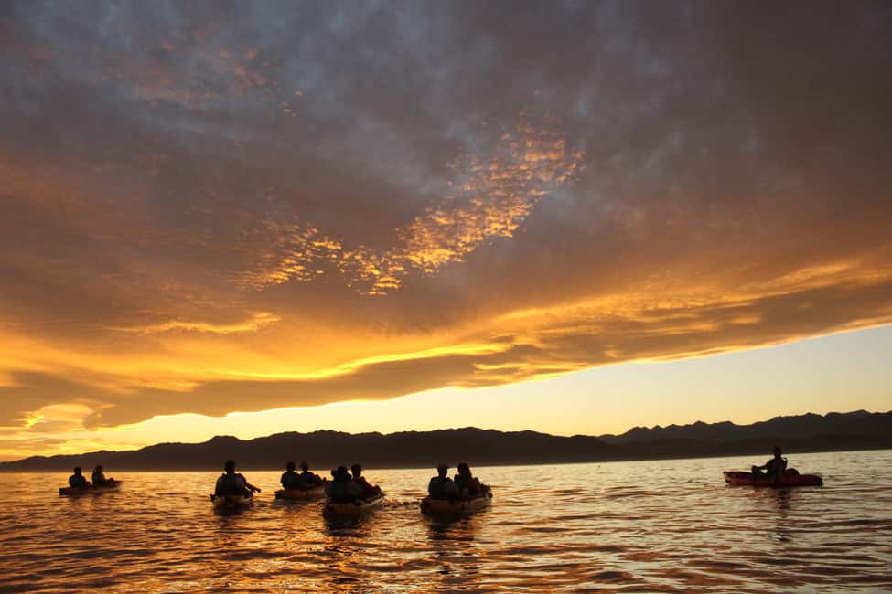 image n.8 of Kaikoura: Seal-Watching Pedal Kayak Tour activity in Kaikoura, uploaded by supplier
